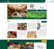 طراحی وبسایت بازار خشکبار و حبوبات ایران IRDFL